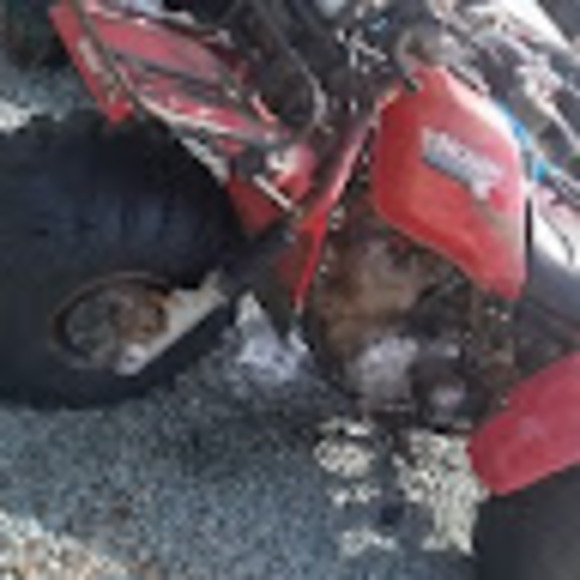 Meet your Posher, Joel - Picture 1 of 1